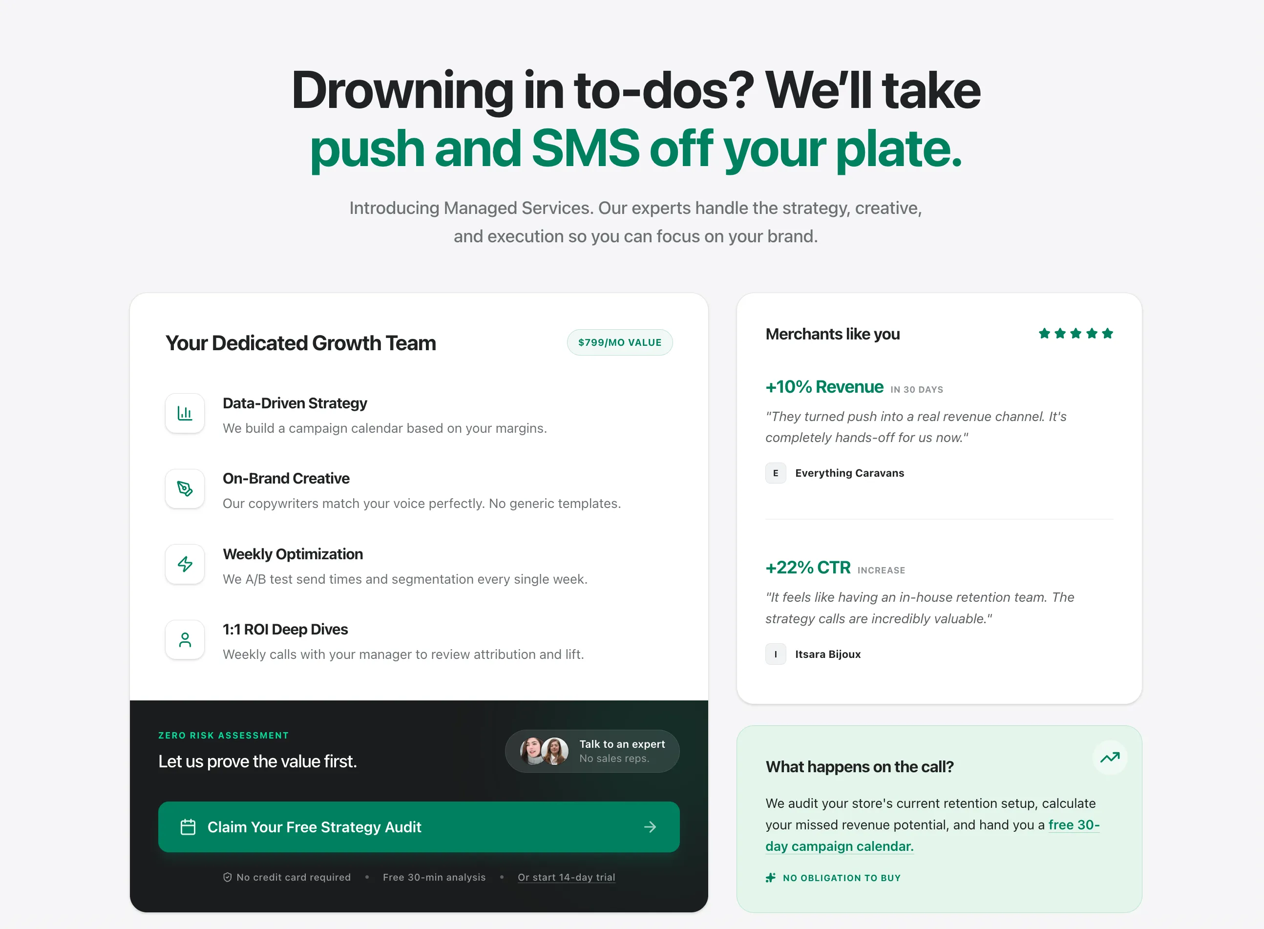 Later managed-service offer exploration with growth-team details, merchant proof, and a strategy-audit action